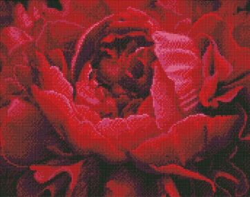 Алмазна мозаїка 40х50 АМО7387 Вишукана квітка "Ідейка"