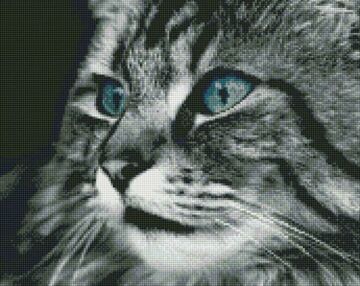 Алмазна мозаїка 40х50 АМО7389 Смарагдові очі "Ідейка"