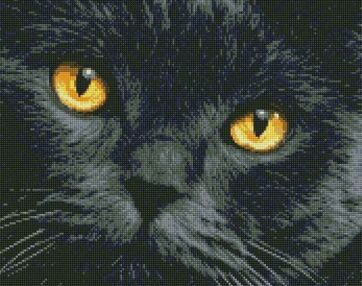 Алмазна мозаїка 40х50 АМО7391 Бурштинові очі "Ідейка"