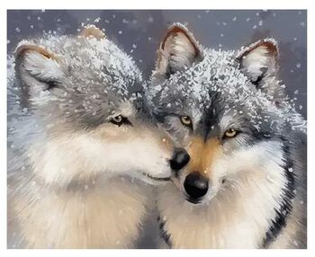 Розпис по номерах 40х50 BS27710 Ніжне почуття