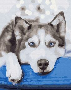 Розпис по номерах 40х50 BS51895 Хаскі в очікуванні brushme Брашми