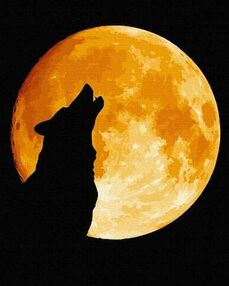 Розпис по номерах 40х50 BS52814 Ніч вовка brushme Брашми