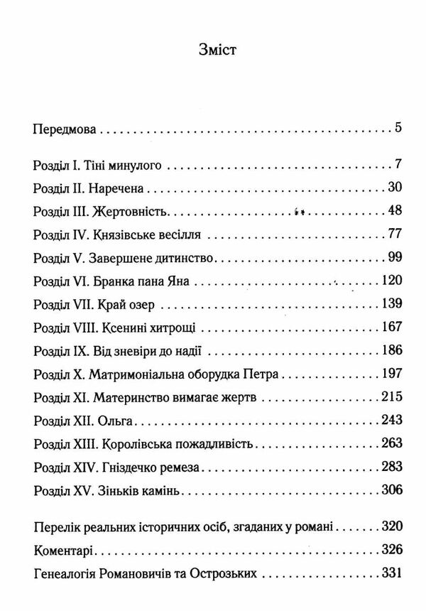 князь русинів книга 1 у павутинні інтриг Ціна (цена) 155.00грн. | придбати  купити (купить) князь русинів книга 1 у павутинні інтриг доставка по Украине, купить книгу, детские игрушки, компакт диски 2