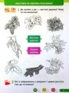 зошит 1 клас я досліджую світ до жаркової частина 2 Ціна (цена) 64.00грн. | придбати  купити (купить) зошит 1 клас я досліджую світ до жаркової частина 2 доставка по Украине, купить книгу, детские игрушки, компакт диски 6