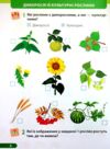 зошит 1 клас я досліджую світ до жаркової частина 2 Ціна (цена) 64.00грн. | придбати  купити (купить) зошит 1 клас я досліджую світ до жаркової частина 2 доставка по Украине, купить книгу, детские игрушки, компакт диски 7