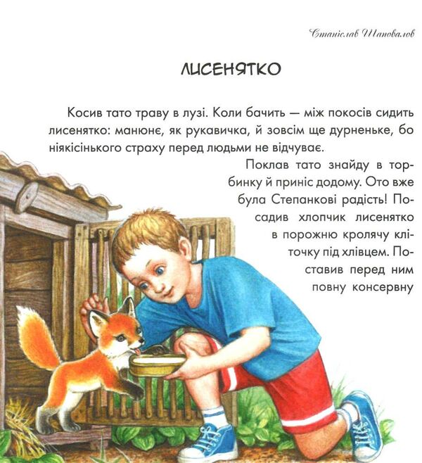 письменники - дітям диво у долоньках Ціна (цена) 171.90грн. | придбати  купити (купить) письменники - дітям диво у долоньках доставка по Украине, купить книгу, детские игрушки, компакт диски 4