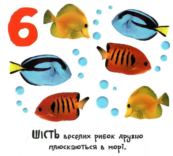 картонка доторкнися і відчуй 1 2 3 Ціна (цена) 359.37грн. | придбати  купити (купить) картонка доторкнися і відчуй 1 2 3 доставка по Украине, купить книгу, детские игрушки, компакт диски 2