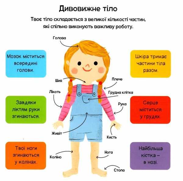 моє тіло весело грайся і пізнавай! Ціна (цена) 365.30грн. | придбати  купити (купить) моє тіло весело грайся і пізнавай! доставка по Украине, купить книгу, детские игрушки, компакт диски 1