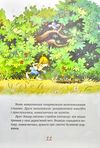 казки чарівного лісу літня Ціна (цена) 315.98грн. | придбати  купити (купить) казки чарівного лісу літня доставка по Украине, купить книгу, детские игрушки, компакт диски 9