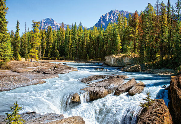 пазли  1500 елементів 150762 athabasca river sasper national park canada Ціна (цена) 228.00грн. | придбати  купити (купить) пазли  1500 елементів 150762 athabasca river sasper national park canada доставка по Украине, купить книгу, детские игрушки, компакт диски 1