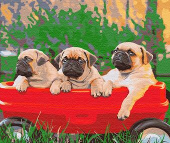 Розпис по номерах 40х50 BS51457 Мопси brushme Брашми