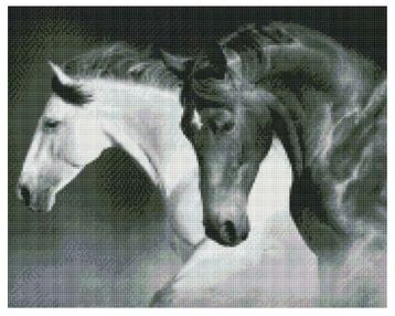 Алмазна мозаїка 40х50 АМО7421 Чорно-біла сила "Ідейка"