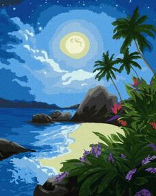 Розпис по номерах 40х50 КНО2730 Місячна ніч "Ідейка"