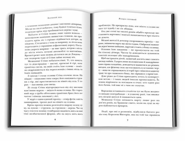гейман зоряний пил книга Ціна (цена) 324.70грн. | придбати  купити (купить) гейман зоряний пил книга доставка по Украине, купить книгу, детские игрушки, компакт диски 5