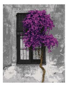 Розпис по номерах 40х50 11202-АС Контраст життя "Art Craft" арт крафт