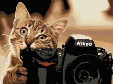 Розпис по номерах 40х50 11608-АС Пухнастий фотограф "Art Craft" арт крафт