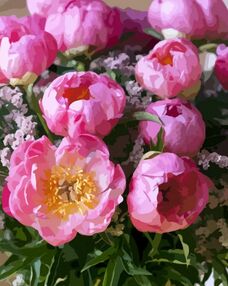 Розпис по номерах 40х50 12125-АС Рожевий шарм "Art Craft" арт крафт