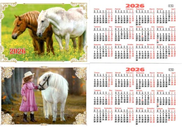 Календар 2026 кишеньковий в асортименті Ціна (цена) 2.00грн. | придбати  купити (купить) Календар 2026 кишеньковий в асортименті доставка по Украине, купить книгу, детские игрушки, компакт диски 0