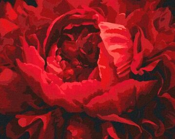 Розпис по номерах 40х50 КНО3121 Вишукана квітка "Ідейка"