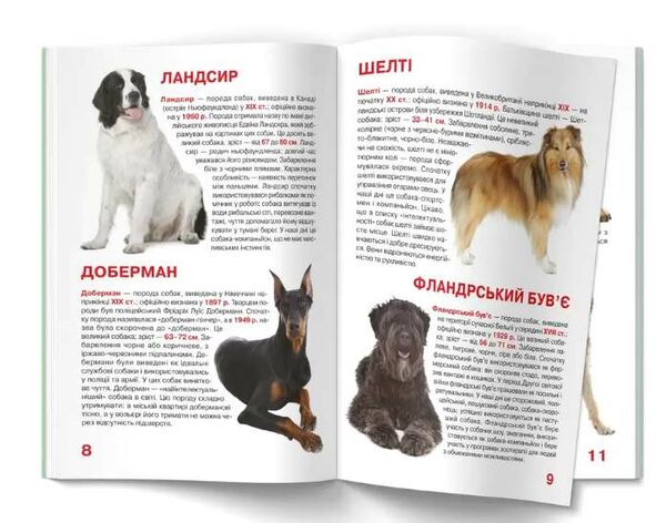 велика книжкаслужбові собаки Ціна (цена) 35.40грн. | придбати  купити (купить) велика книжкаслужбові собаки доставка по Украине, купить книгу, детские игрушки, компакт диски 1