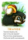 хто це? ведмедик картонка формат А5 Ціна (цена) 31.60грн. | придбати  купити (купить) хто це? ведмедик картонка формат А5 доставка по Украине, купить книгу, детские игрушки, компакт диски 1