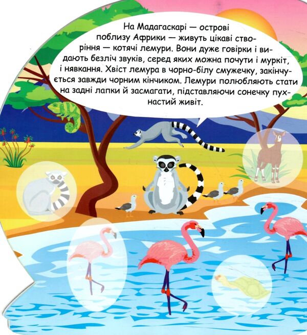 Пізнавальні наліпки Тварини Африки Ціна (цена) 30.10грн. | придбати  купити (купить) Пізнавальні наліпки Тварини Африки доставка по Украине, купить книгу, детские игрушки, компакт диски 1