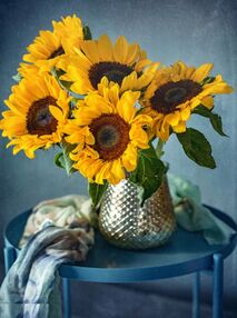 Алмазна мозаїка 40х50 GC86122 Натюрморт з соняшниками у вазі "Strateg"