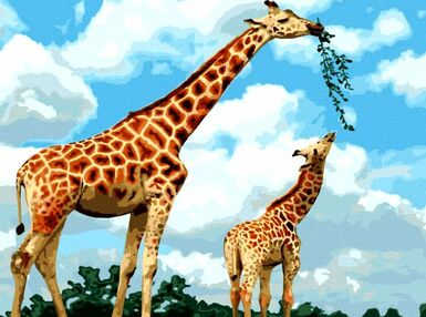 Розпис по номерах 40х50 11634-АС Грація савани "Art Craft" арт крафт