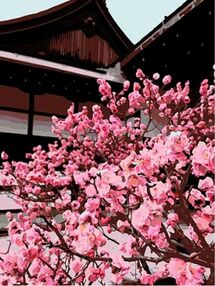 Розпис по номерах 40х50 10527-АС Японська вишня "Art Craft" арт крафт