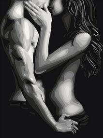 Розпис по номерах 30х40 10370-NN Близькість тіл "Art Craft" арт крафт