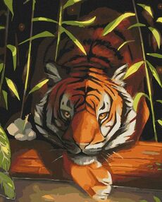 Розпис по номерах 40х50 11618-АС Бенгальський тигр "Art Craft" арт крафт