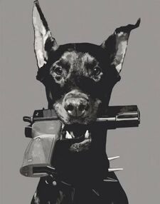 Розпис по номерах 40х50 11653-АС Агент "Art Craft" арт крафт