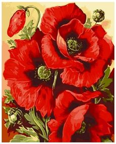 Розпис по номерах 40х50 13129-АС Маковий цвіт "Art Craft" арт крафт