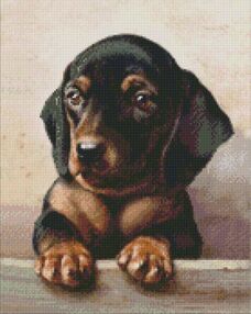 Алмазна мозаїка 40х50 АМО7296 Відданий погляд "Ідейка"