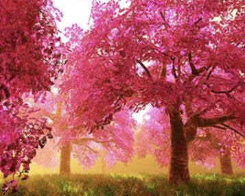 Алмазна мозаїка 40х50 SK86003 Рожевий ліс "Strateg"