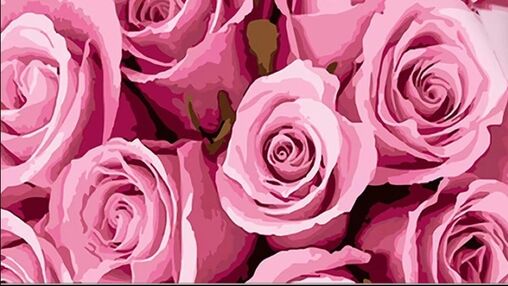 Розпис по номерах 50х25 WW197 Рожеві троянди "Strateg"