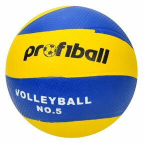 Мяч волейбольний VA 0033-1