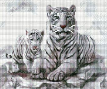 Алмазна мозаїка 30х40 HX011 Білі тигри "Strateg"