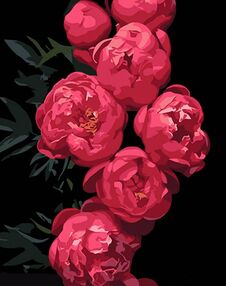 Розпис по номерах 40х50 AH1035 Рожеві півонії на чорному фоні "Strateg"