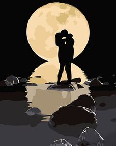 Розпис по номерах 40х50 AH1029 У сяйві місяця на чорному фоні "Strateg"