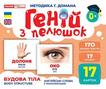 17 карток геній з пелюшок будова тіла 17 карток геній з пелюшок будова тіла