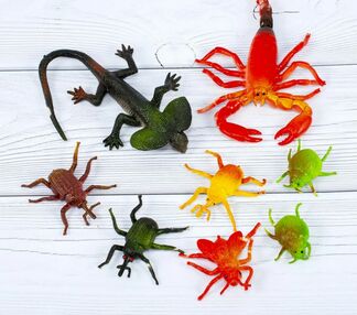 звірі флора та фауна в асортименті 1-2102