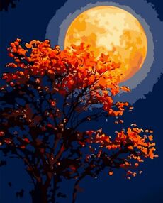 Розпис по номерах 40х50 DY406 Червоне повнолуння "Strateg"