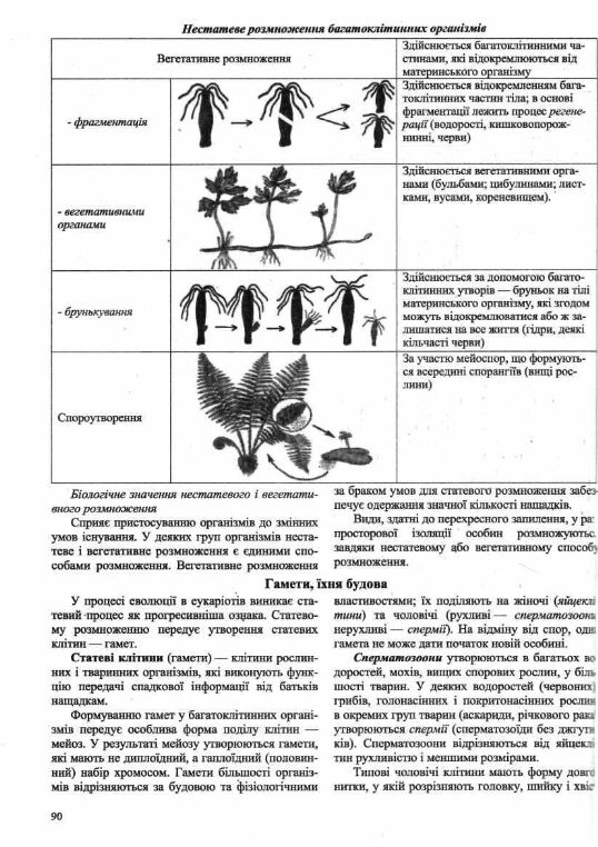 ЗНО 2026 біологія комплексне видання Ціна (цена) 340.00грн. | придбати  купити (купить) ЗНО 2026 біологія комплексне видання доставка по Украине, купить книгу, детские игрушки, компакт диски 4