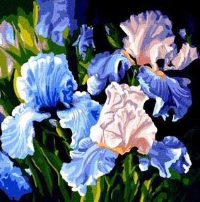 Розпис по номерах 40х40 КНО3190 Яскраві іриси "Ідейка"