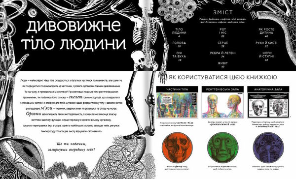 прихований світ людського тіла Ціна (цена) 564.00грн. | придбати  купити (купить) прихований світ людського тіла доставка по Украине, купить книгу, детские игрушки, компакт диски 2