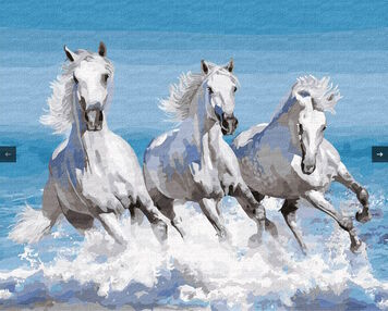 Розпис по номерах 40х50 КНО4266 Стрімка хвиля "Ідейка"