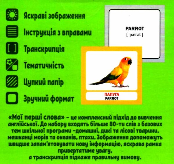 Комплект «Мої перші слова. Зелений» Ціна (цена) 155.90грн. | придбати  купити (купить) Комплект «Мої перші слова. Зелений» доставка по Украине, купить книгу, детские игрушки, компакт диски 1