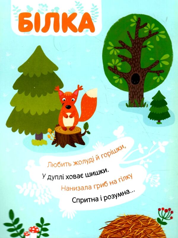 наліпки із загадками у лісі Ціна (цена) 29.40грн. | придбати  купити (купить) наліпки із загадками у лісі доставка по Украине, купить книгу, детские игрушки, компакт диски 1