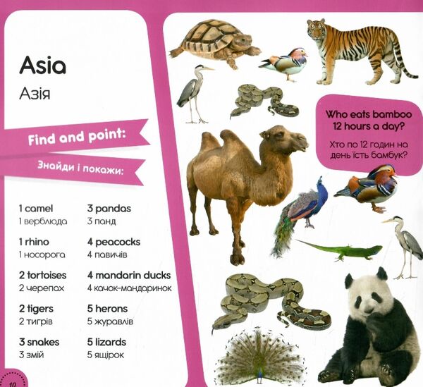 фотокнига 100 слів про тварин світу / 100 words about animals of the world  Уточнюйте  строки доставки (2-5 діб) Ціна (цена) 52.80грн. | придбати  купити (купить) фотокнига 100 слів про тварин світу / 100 words about animals of the world  Уточнюйте  строки доставки (2-5 діб) доставка по Украине, купить книгу, детские игрушки, компакт диски 2